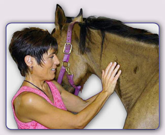Eve Lucia Healing Horse